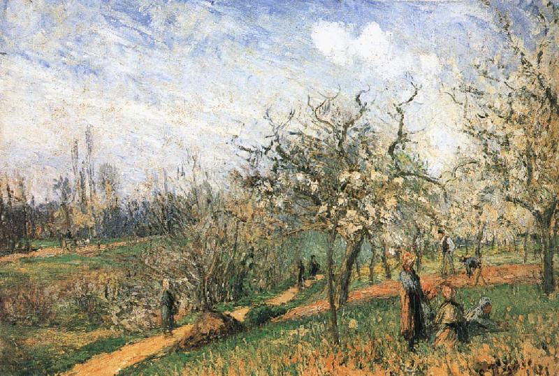 Camille Pissarro Pang map of apple Schwarz china oil painting image